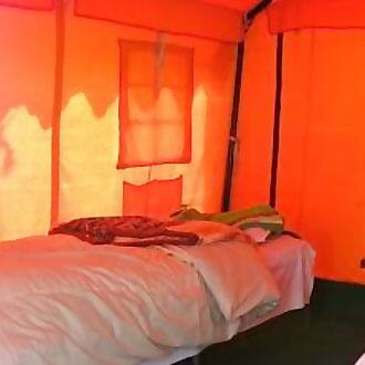 Wonderland Camp, Pangong 2